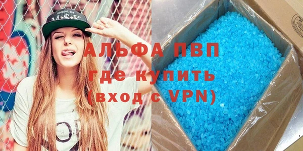 шишки Медвежьегорск