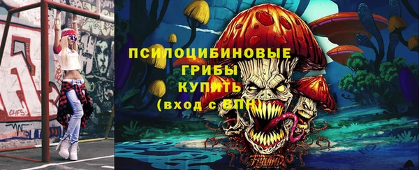 ПСИЛОЦИБИНОВЫЕ ГРИБЫ Медногорск