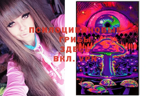 ПСИЛОЦИБИНОВЫЕ ГРИБЫ Медногорск