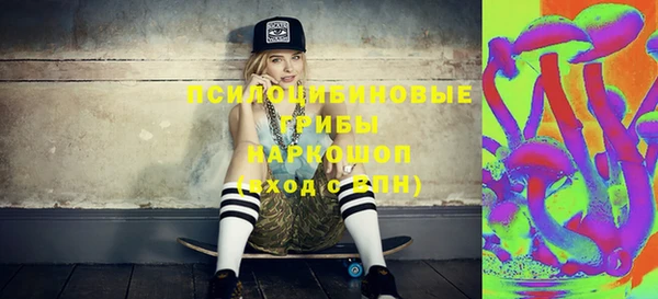 ПСИЛОЦИБИНОВЫЕ ГРИБЫ Медногорск