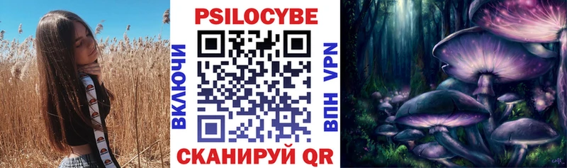 Псилоцибиновые грибы Psilocybe  цена   Правдинск 