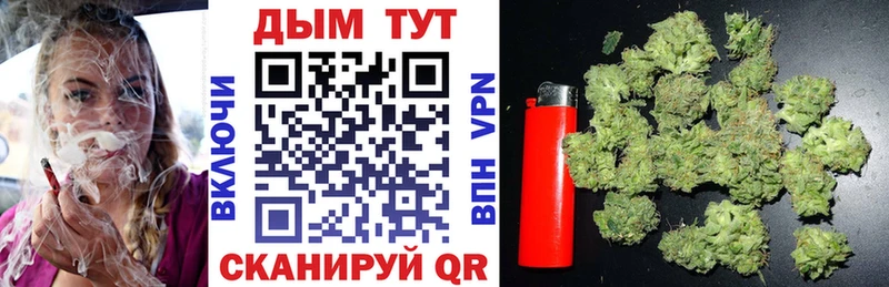Бошки марихуана Bruce Banner Правдинск